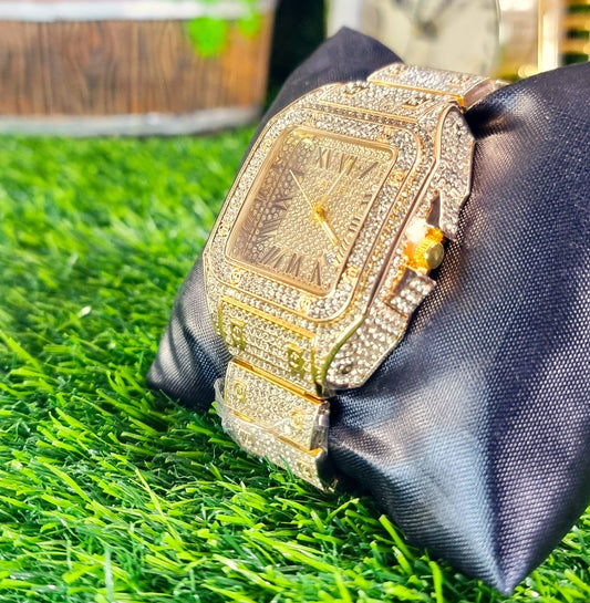 Your Wrist's New Best Friend: Premium Gold Watch